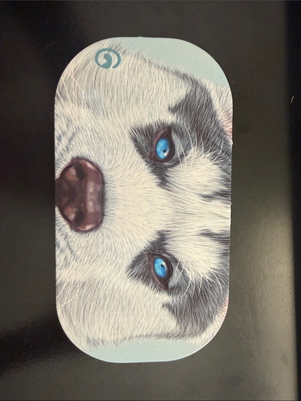 Blue-Eyed Husky Goggle Cover with Light Blue Background